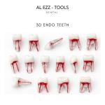 3d endo teeth