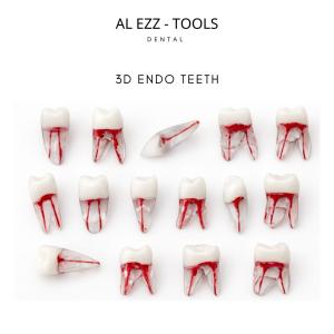 3d endo teeth