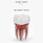 3d endo teeth