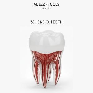 3d endo teeth