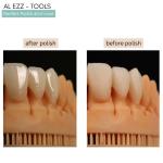 Renfert Polish all-in-one